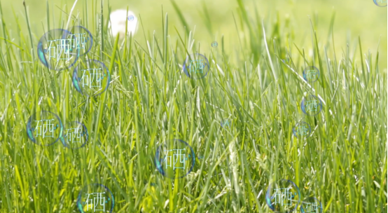 cc0a7919f6ca4c591ad25a59cfabc9bd