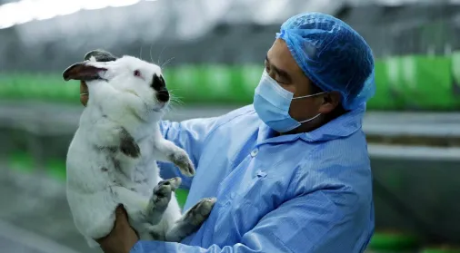 d44207b51e5328b5b13f5a2ce31a8e76