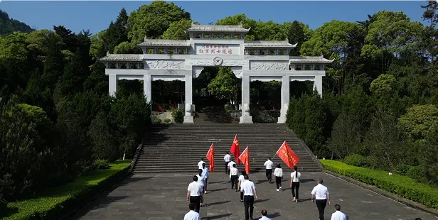 dcdbce225266c9afbf9624bd176c6531