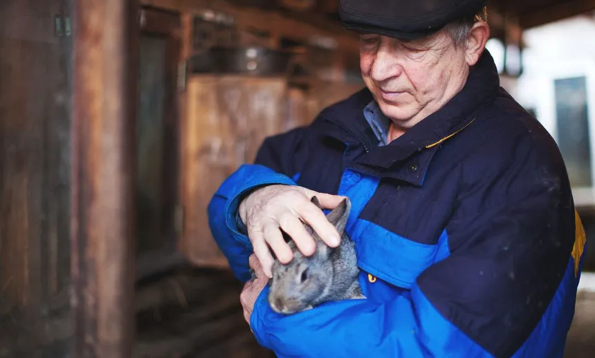 Под влиянием как политических, так и рыночных сил российская крольчатина открывает новые возможности для развития.