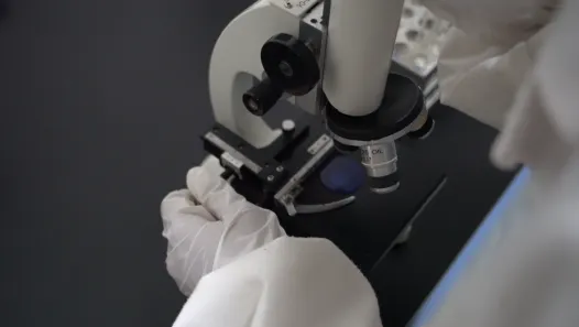 Мясо кролика, обогащенное селеном