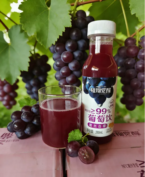 a47674c9abbebc6f59de96318ec5bca4