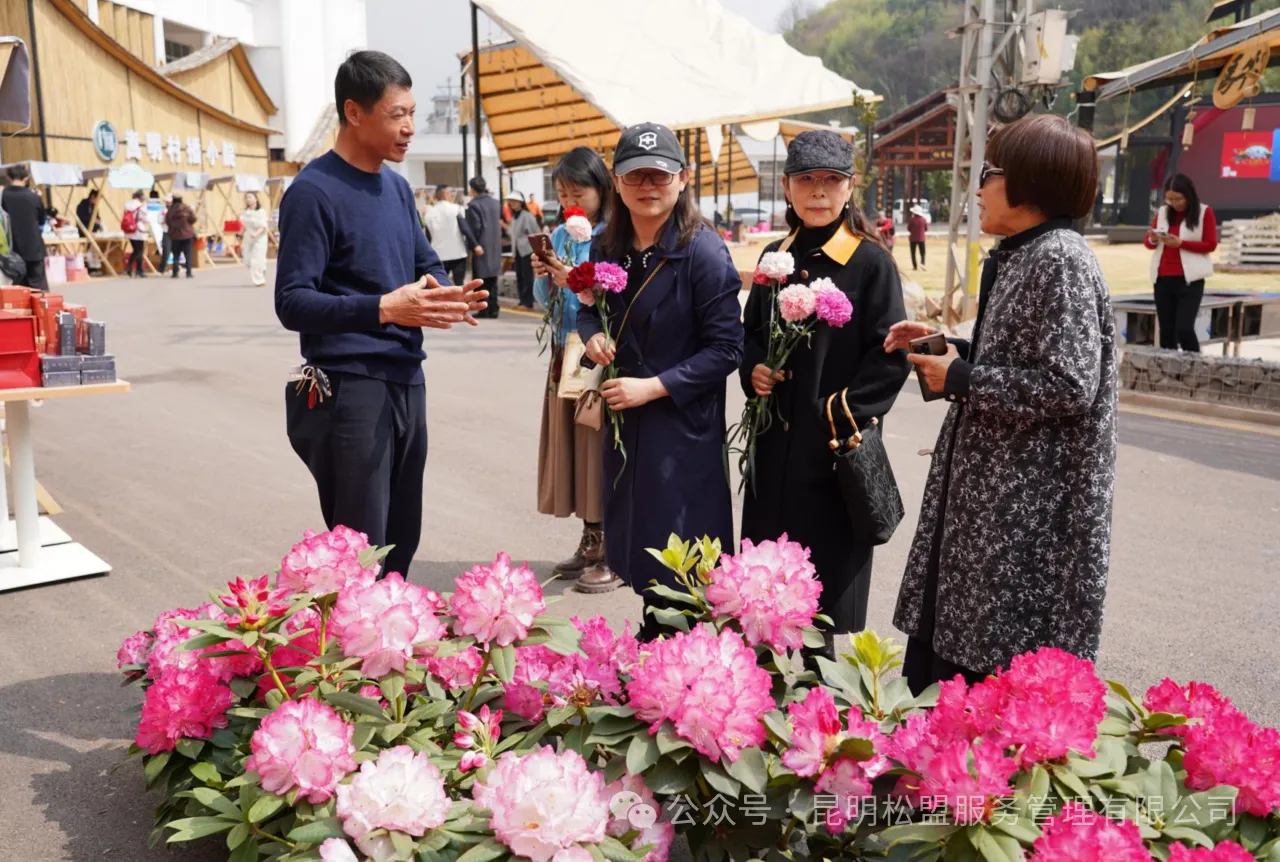 e6d0fcfb2b5f020a167c64380a30e311