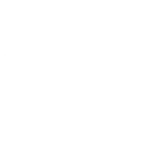 Профессиональная команда