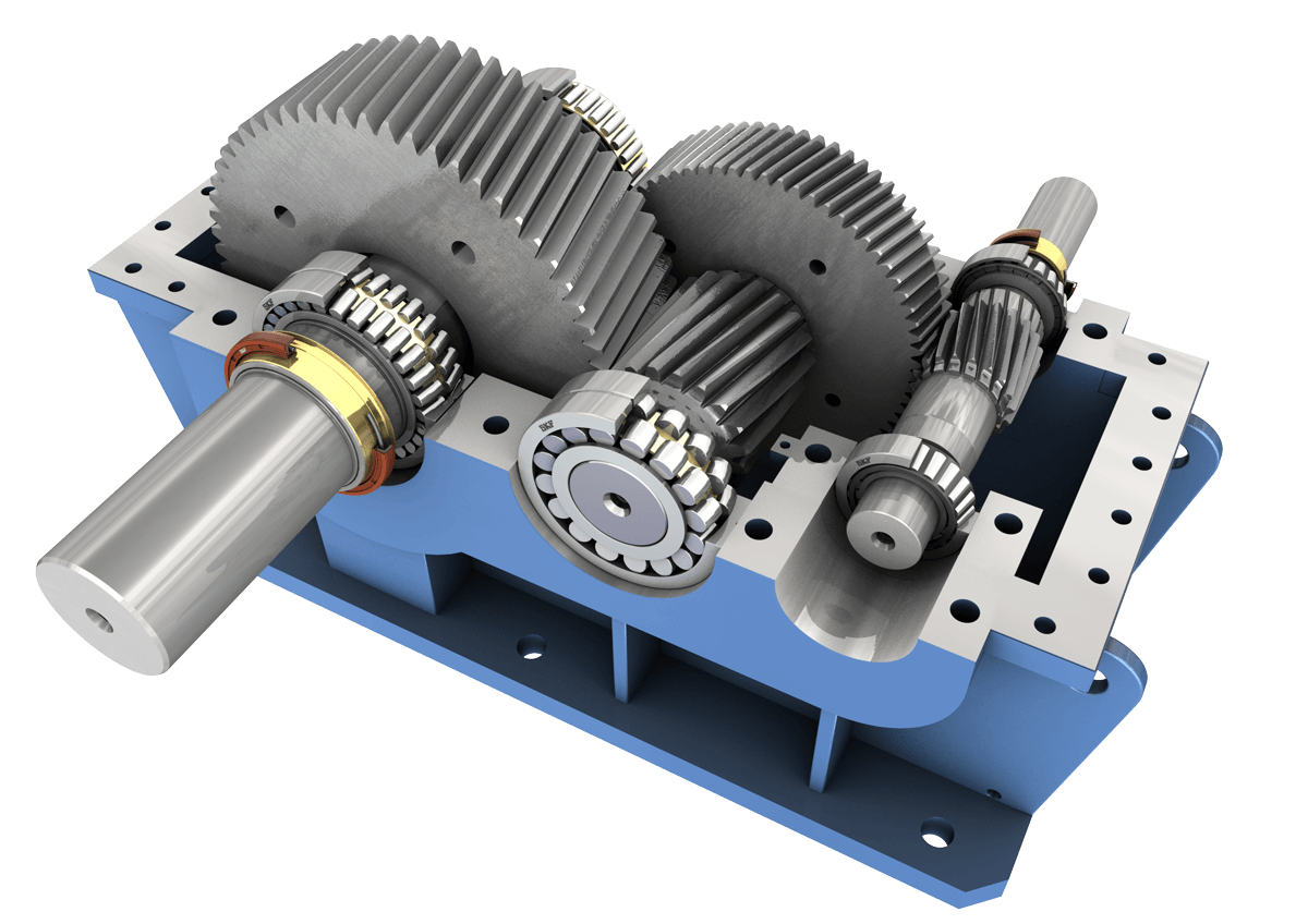 Рисунок: Поперечный разрез внутренней конструкции редуктора — точная подгонка шестерен, подшипников и корпуса.