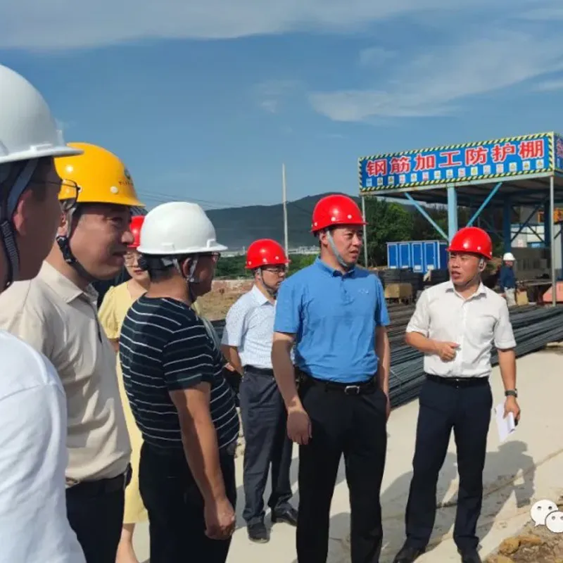 Муниципального правительства Чаоху г-н Ван Бинь провели выездную проверку хода реализации проекта