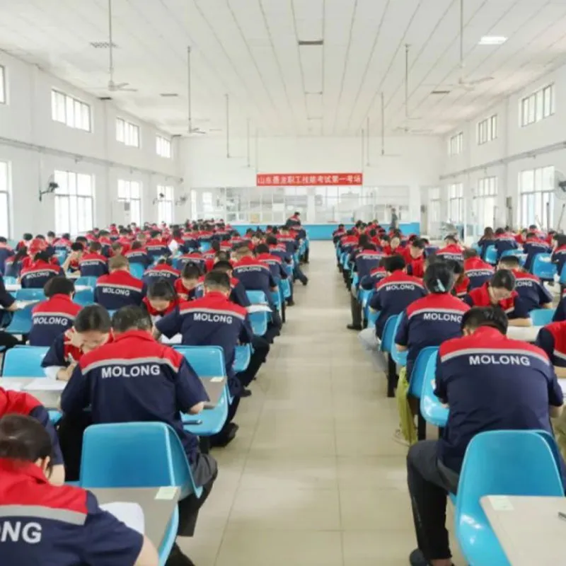 Стимулирование обучения через экзамены для усиления компетенций, применение знаний в работе для повышения эффективности — Shandong Molong организовала проверку профессиональных навыков сотрудников