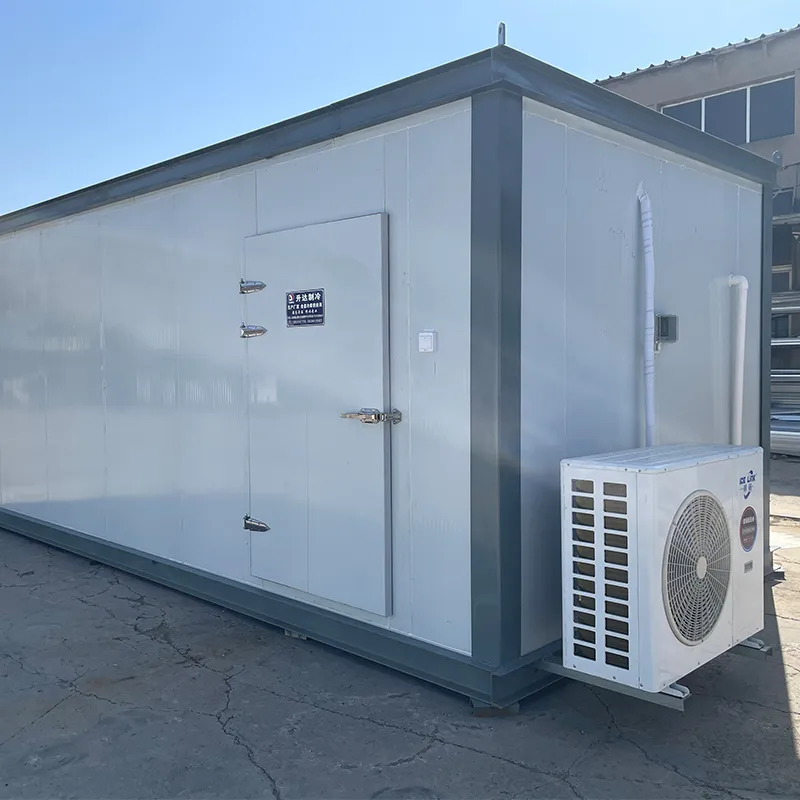 Мобильные холодильные камеры на шасси