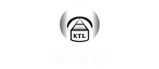logo1
