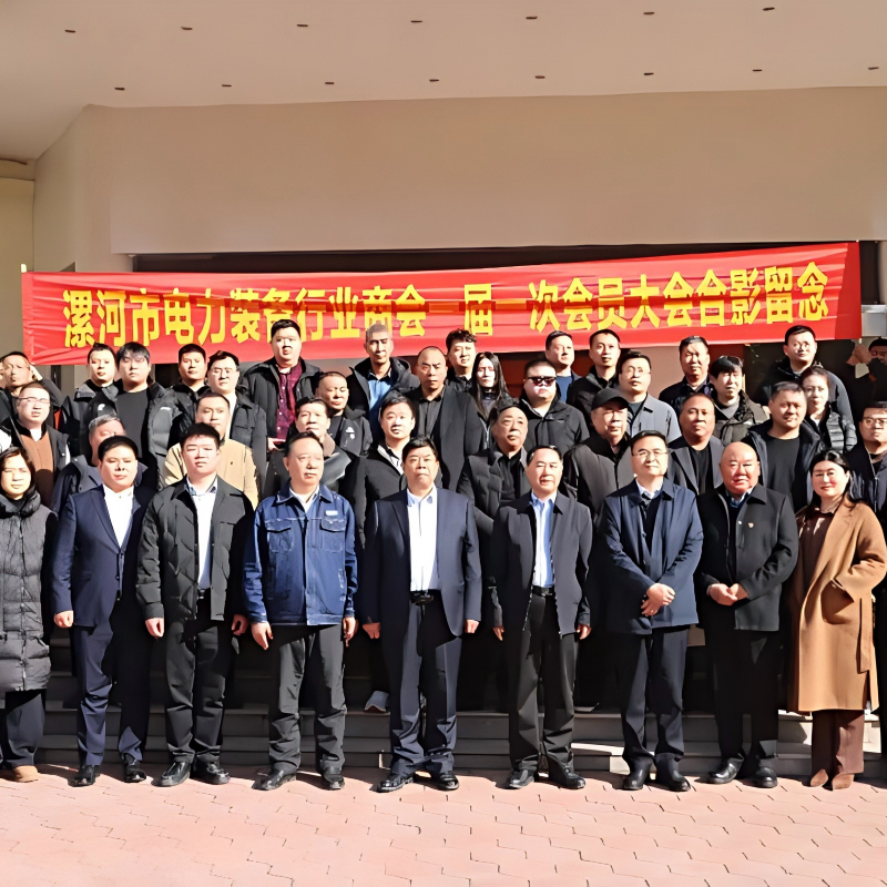 Официально учреждена Торгово-промышленная палата индустрии электроэнергетического оборудования города Лохэ