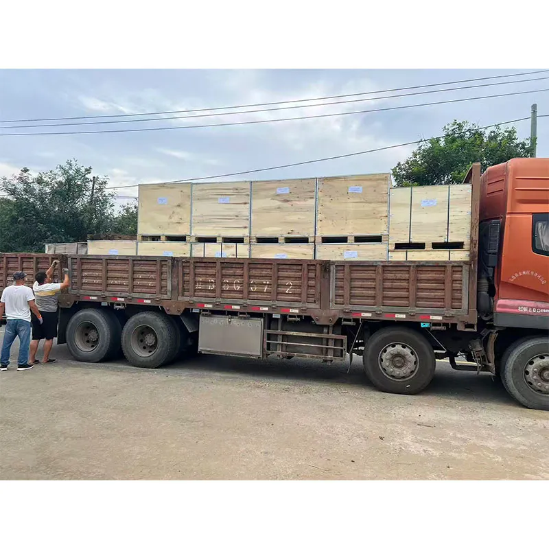 Компания Dalian Yushengde Trading Co., Ltd. успешно завершила погрузку и отгрузку гибких и фланцевых соединений, обеспечив поддержку промышленных проектов в Санкт-Петербурге, Россия.