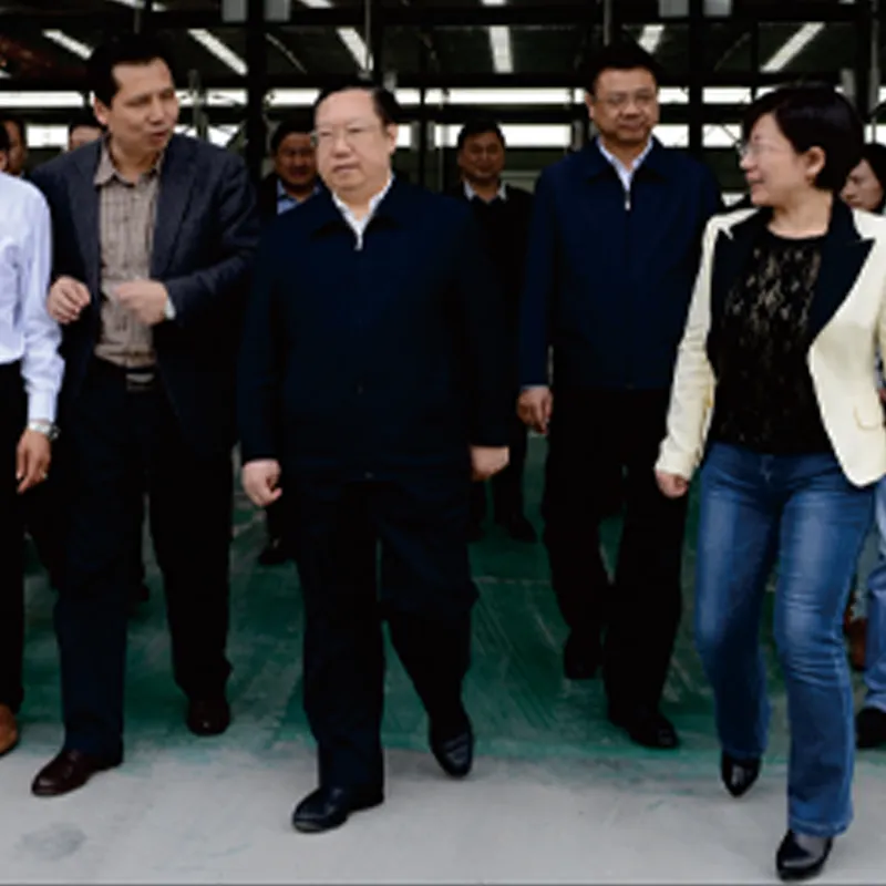 Заместитель секретаря провинциального комитета партии и губернатор Ван Сяодун посетил компанию