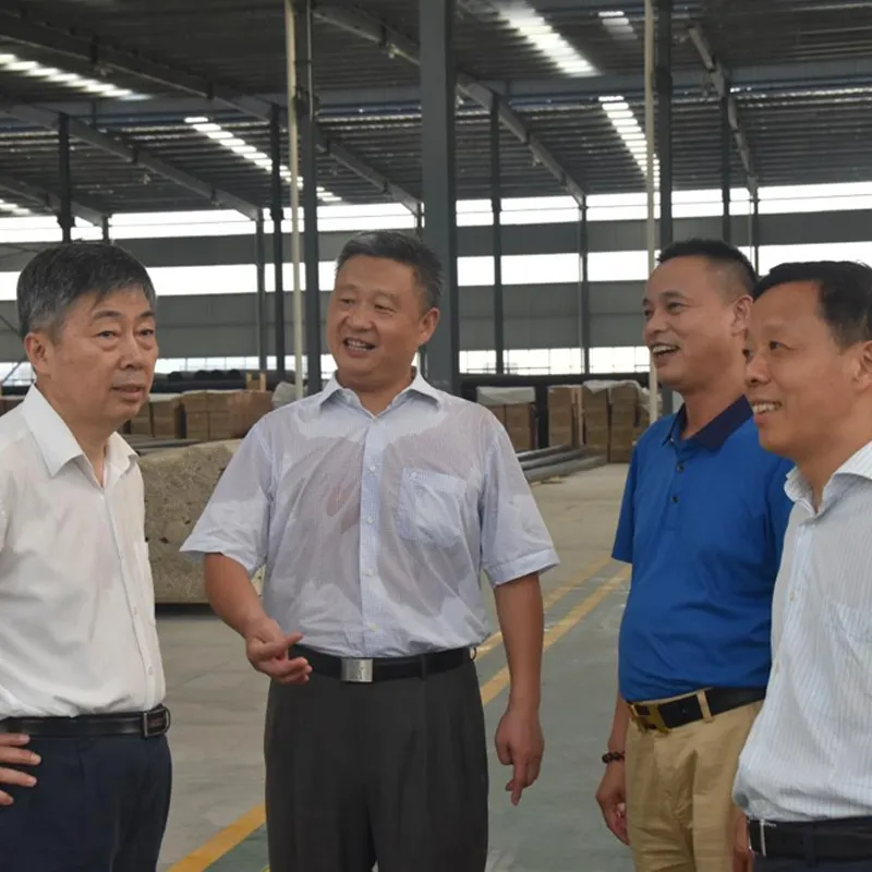 Заместитель председателя провинциального комитета КНПКК Сяо Сюмин посетил нашу компанию в сопровождении председателя муниципального комитета КНПКК Юэ Синпина и секретаря партийного комитета уезда У Ибина