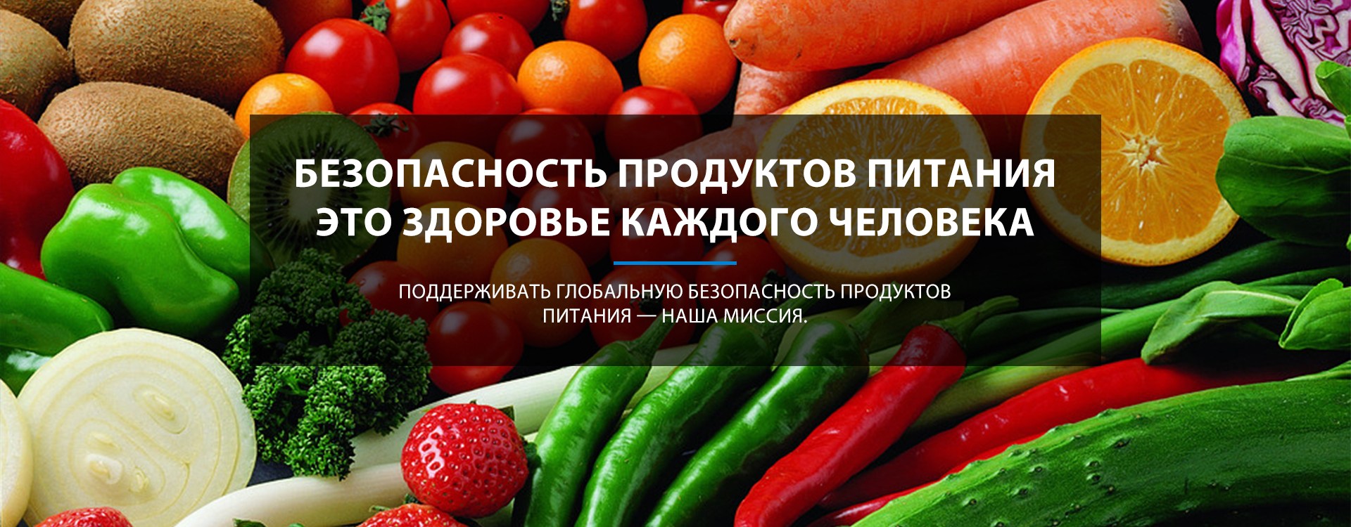 Пищевое-banner1