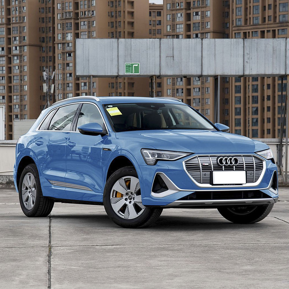 Audi e-tron 50 quattro Luxury Edition 2021 года выпуска