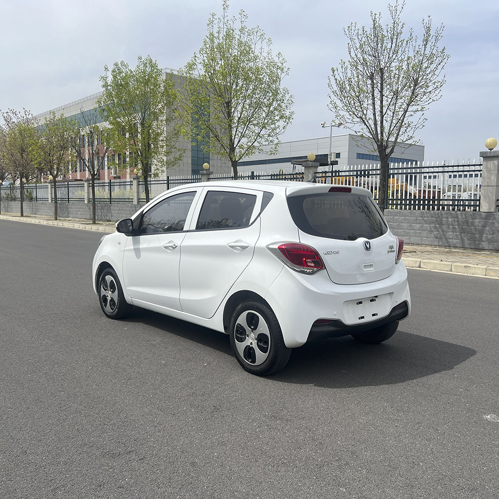 Changan BenBen E-STAR 2021 National Edition-Приятное для сердца издание с литий-железо-фосфатом (31,86 кВт*ч)