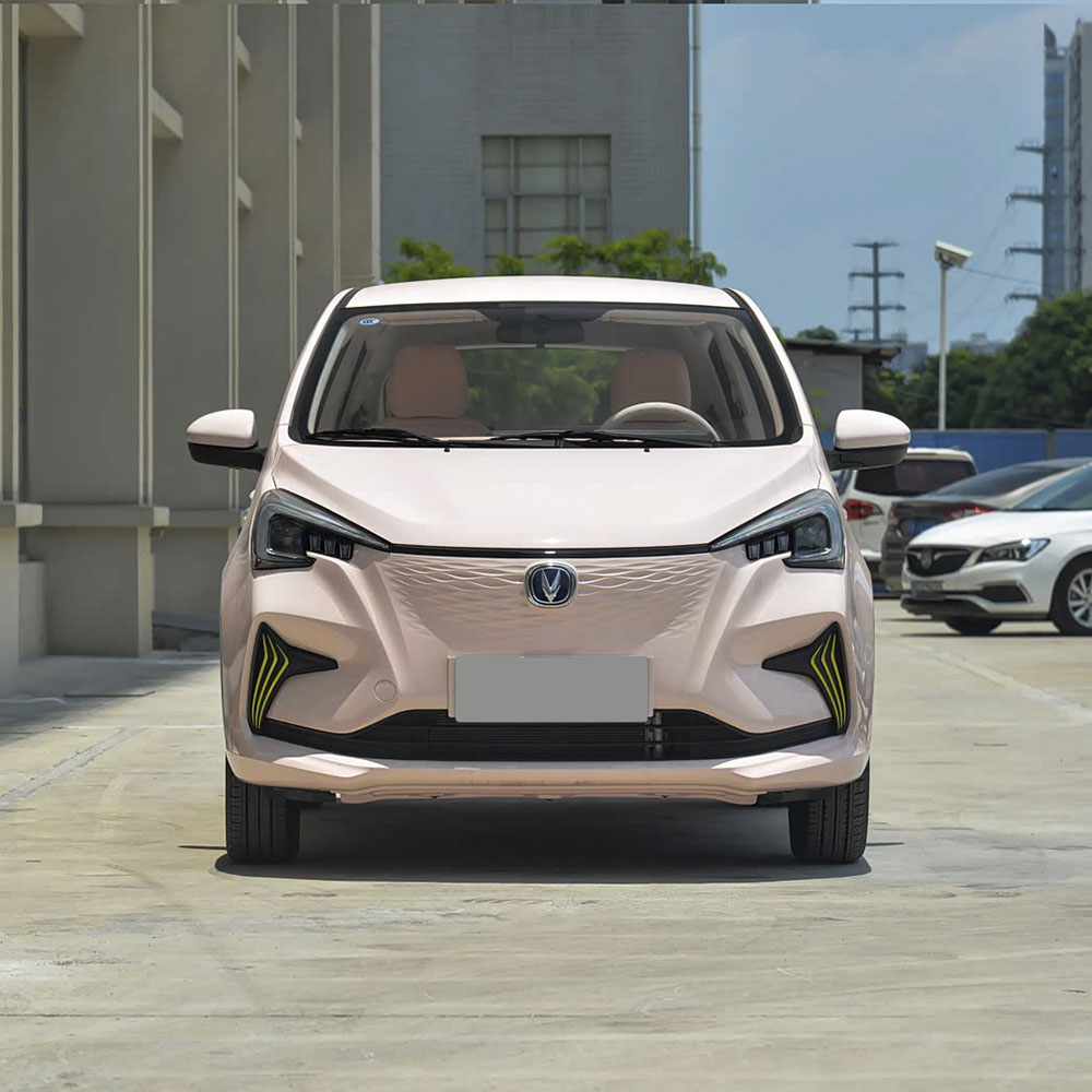 Модель Changan BenBen E-STAR 2023 (многоцветная) Литий-железо-фосфат