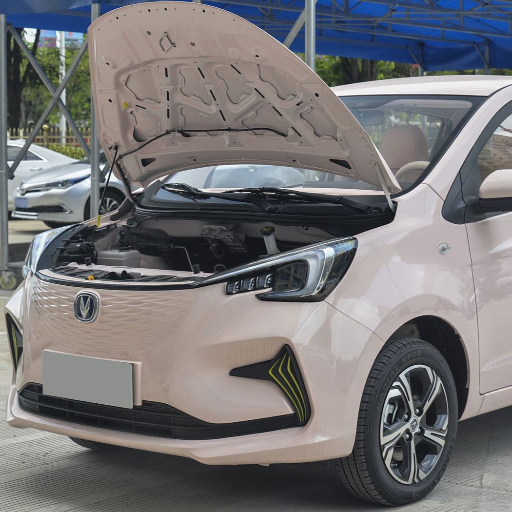 Модель Changan BenBen E-STAR 2023 (многоцветная) Литий-железо-фосфат