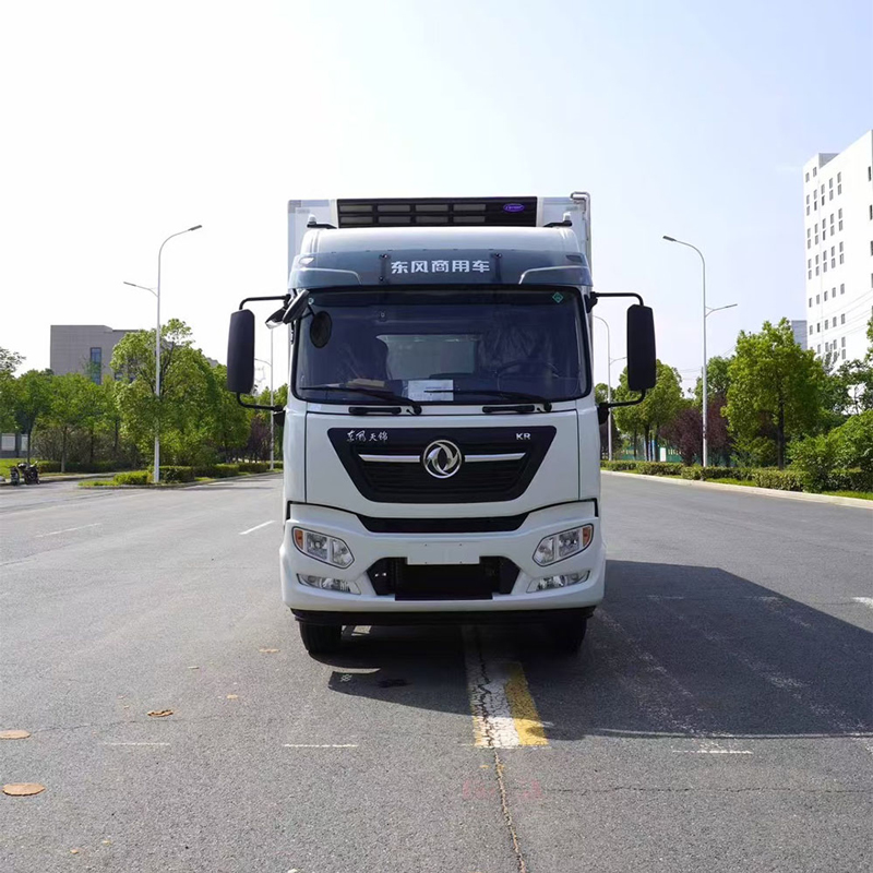 Dongfeng Tianjin KR, рефрижератор, Final Edition