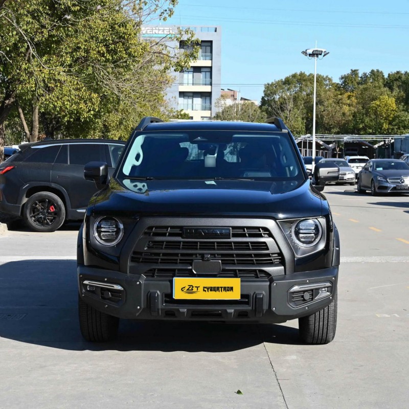 Haval Big Dog 2024 2.0T DCT “Chinese Rural Dog” Edition: прочный внедорожник, полный привод, стильный автомобиль для бездорожья, практически новый б/у, персонализированный автомобиль