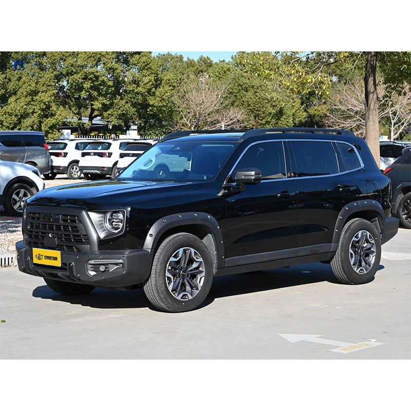 Haval Big Dog 2024 2.0T DCT “Chinese Rural Dog” Edition: прочный внедорожник, полный привод, стильный автомобиль для бездорожья, практически новый б/у, персонализированный автомобиль