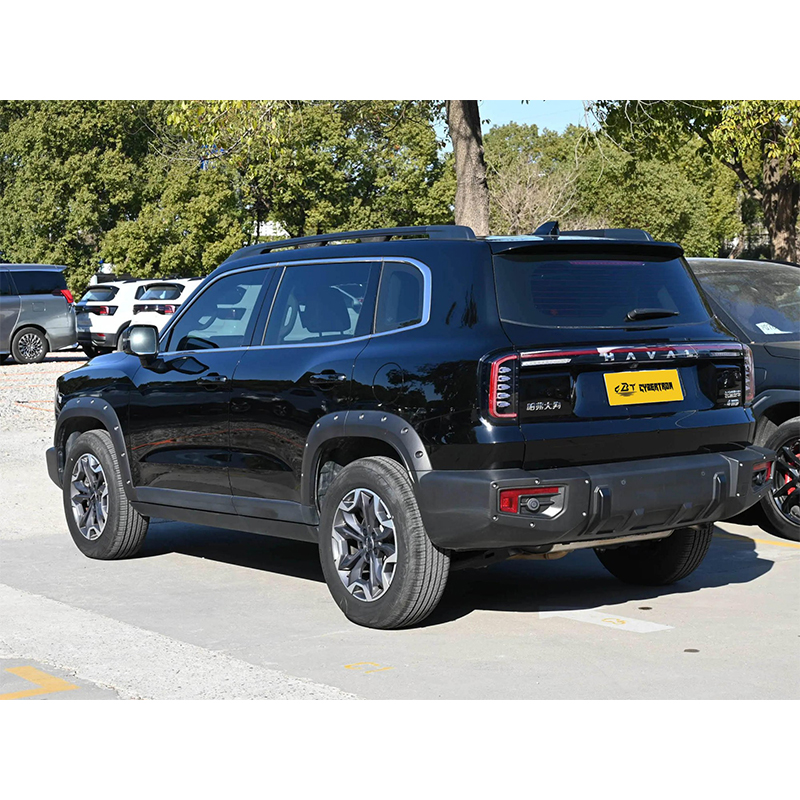 Haval Big Dog 2024 2.0T DCT “Chinese Rural Dog” Edition: прочный внедорожник, полный привод, стильный автомобиль для бездорожья, практически новый б/у, персонализированный автомобиль