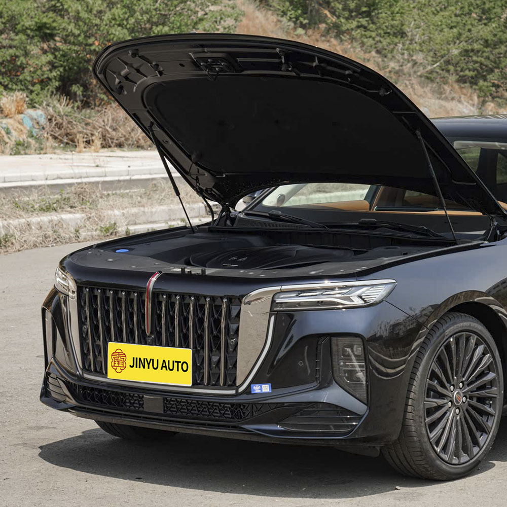 Hongqi H9 2025 2.0T Флагманская частная модная версия