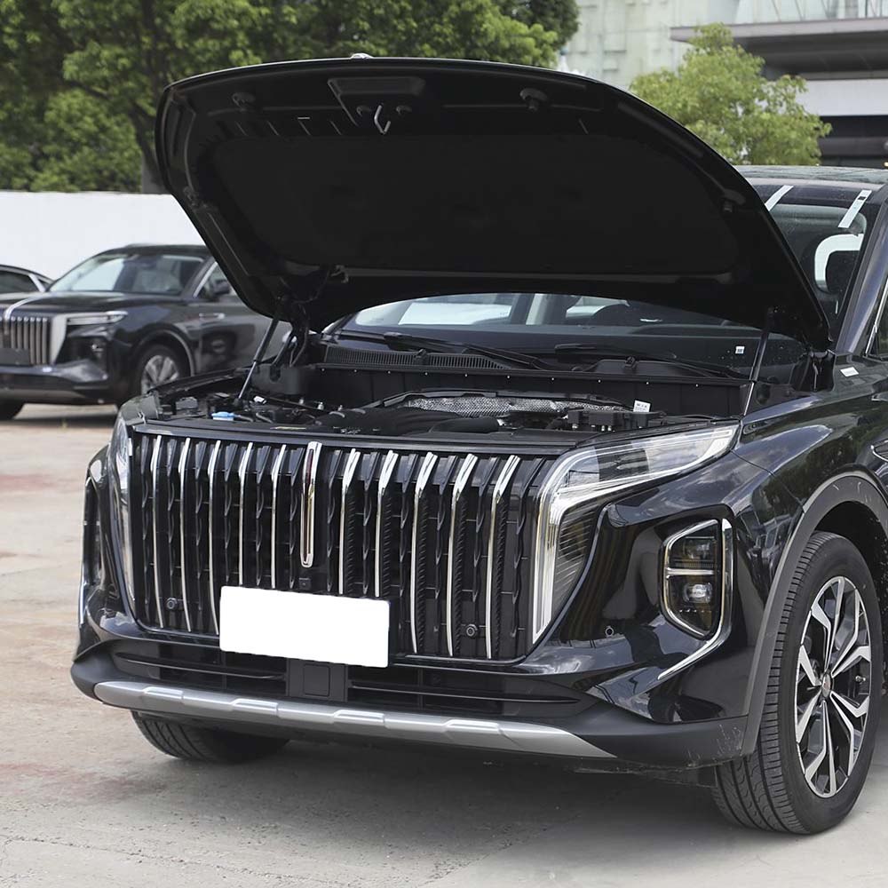 2023 Hongqi HS7 2.0T Автоматический 4WD (6-местный)