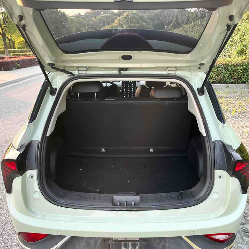 Поддержанный Neta AYA 2023, 318 LIT