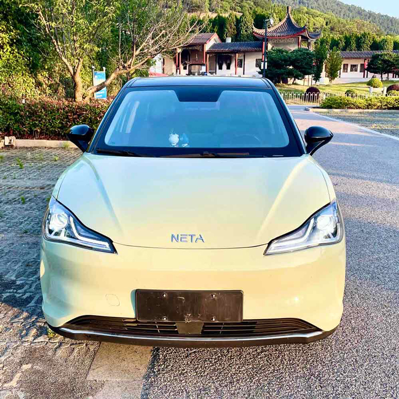 Поддержанный Neta AYA 2023, 318 LIT