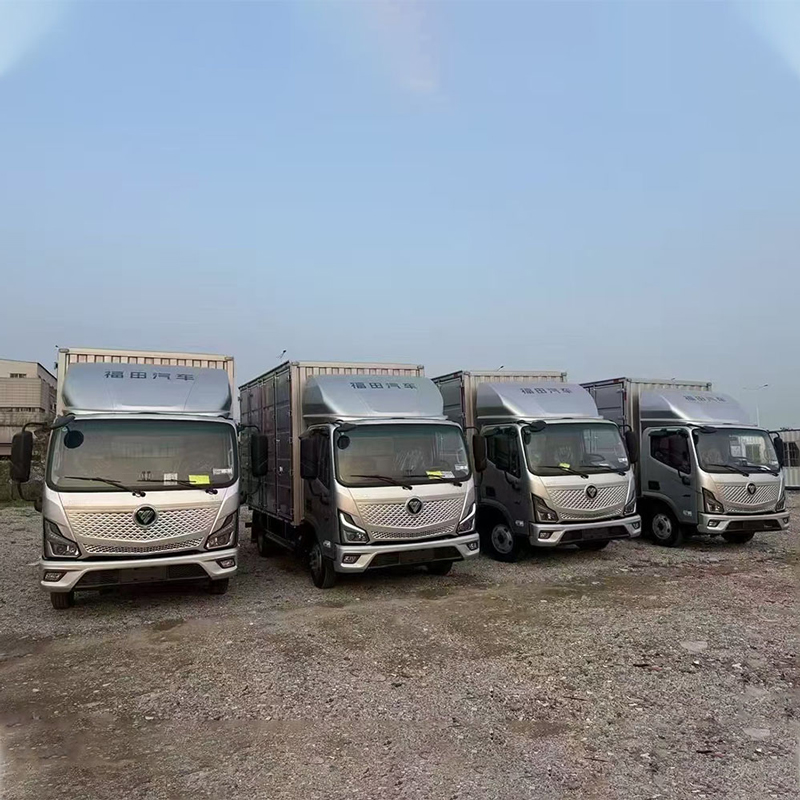 Foton Aumark, широкий одноместный, Final Edition