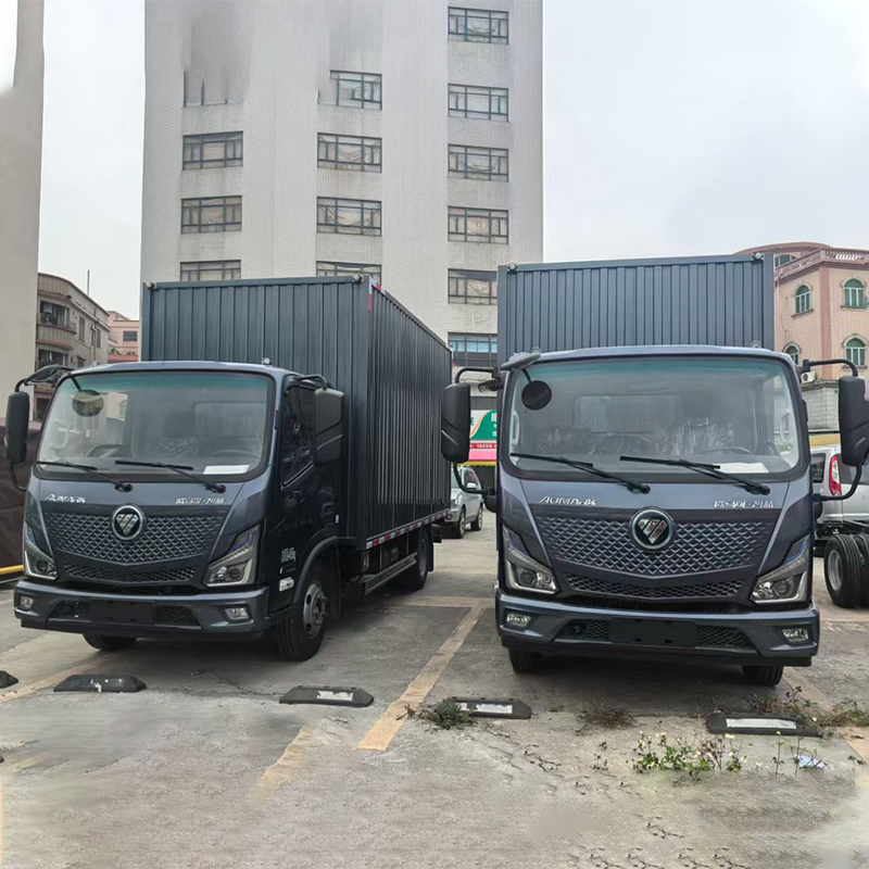 Foton Aumark, широкий одноместный, Final Edition