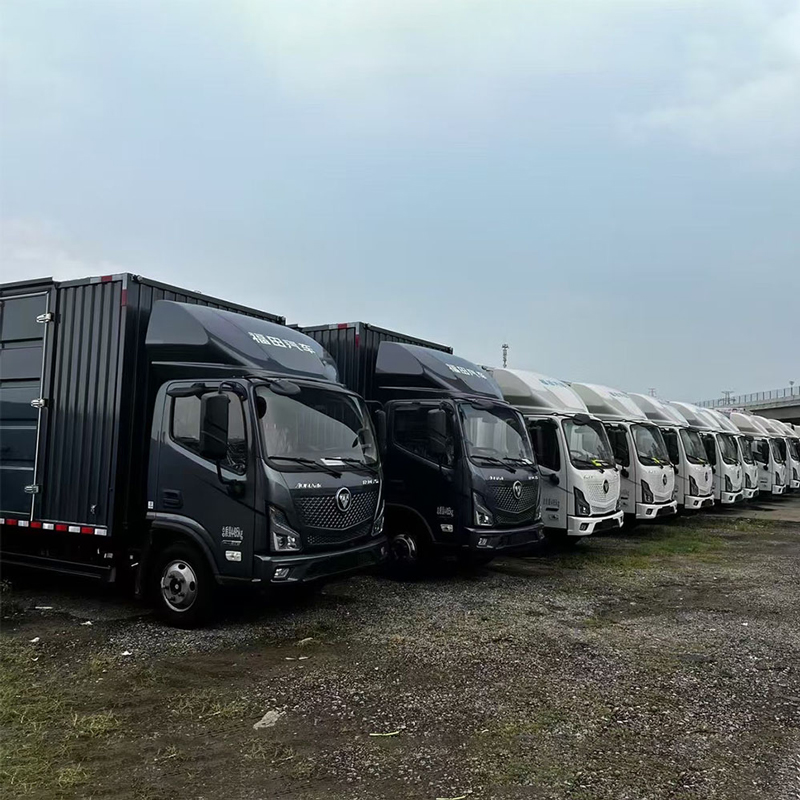 Foton Aumark, широкий одноместный, Final Edition