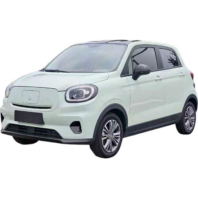 Leapmotor T03 2023 310 Облегченная версия