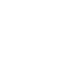 asset_12ons