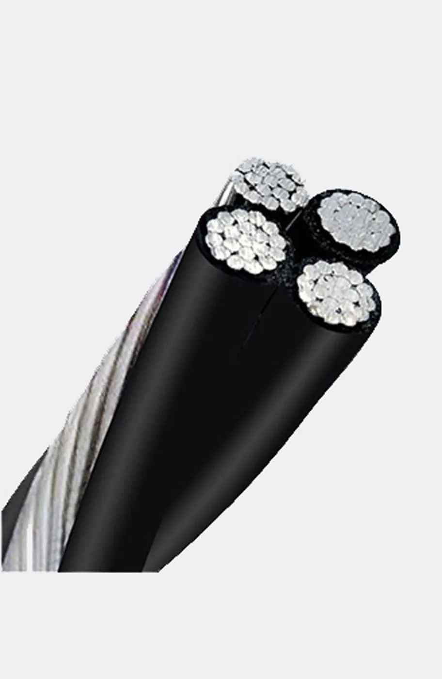 Главная 1 (3)