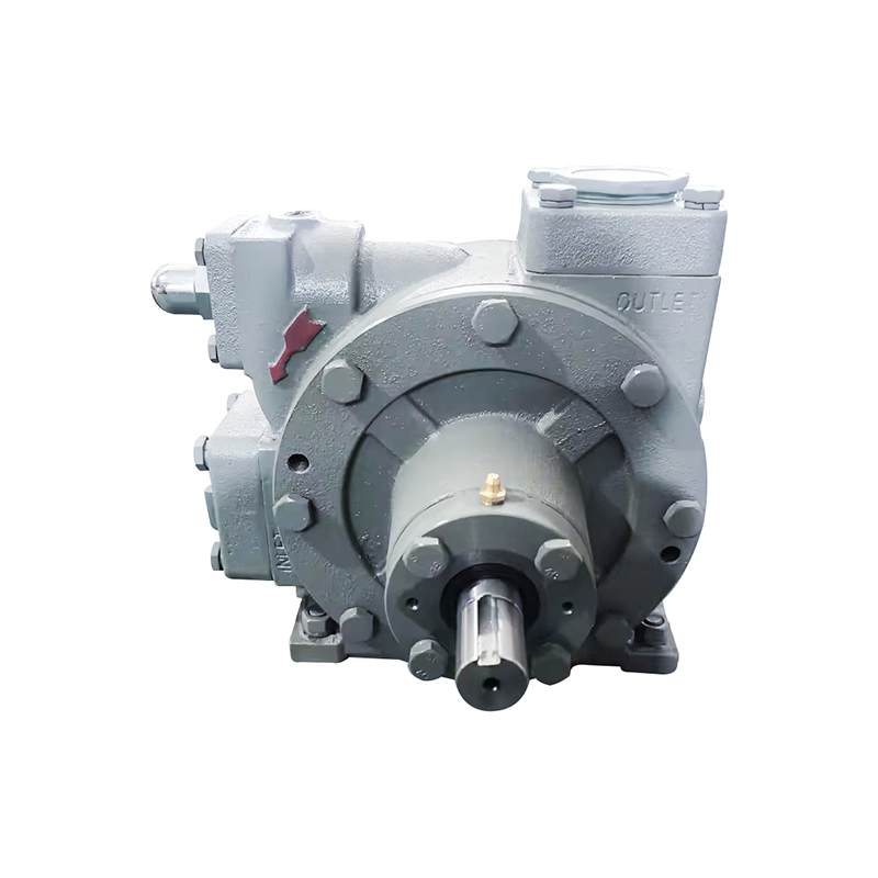 Головка пластинчатого насоса для СУГ LPGP-2000 PUMP
