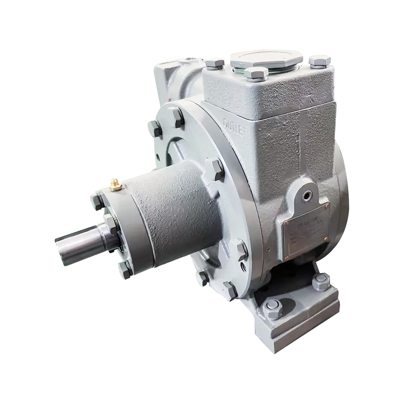 Головка пластинчатого насоса для СУГ LPGP-2000 PUMP