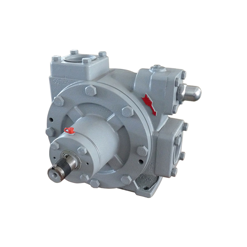 Головка пластинчатого насоса для СУГ LPGP-2000 PUMP