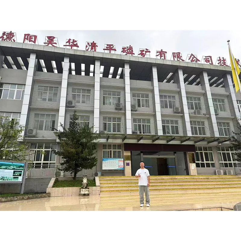 ООО Чэнду Дадон Технология способствует модернизации очистки сточных вод на предприятиях по добыче фосфоритной руды в Дэяне, содействуя развитию зеленой химической промышленности