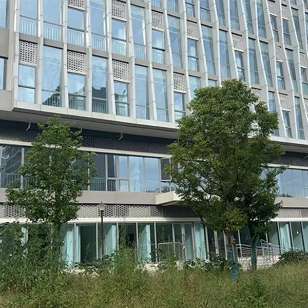 Мощное сотрудничество! ООО Чэнду Дадун Технолоджи и «Чжипэн Цзяньшэ» успешно запустили проект по очистке медицинских сточных вод в общественной больнице Цинъян