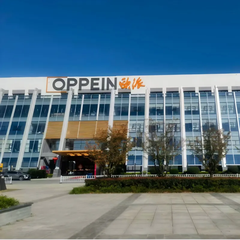 ООО «Чэнду Дадон Технология» совместно с Тяньцзиньской компанией по производству интегрированной мебели «Оупай» создают новый эталон беспылевых покрасочных камер