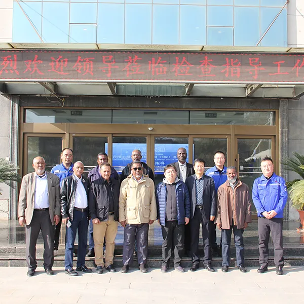 Углубление международного сотрудничества в целях содействия промышленному развитию — делегация из Судана посетила компанию Gansu Yurun Engineering Heavy Industry Co., Ltd. для проведения инспекции и обмена опытом