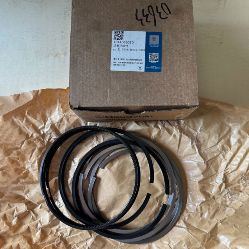 Piston ring set 1014066020