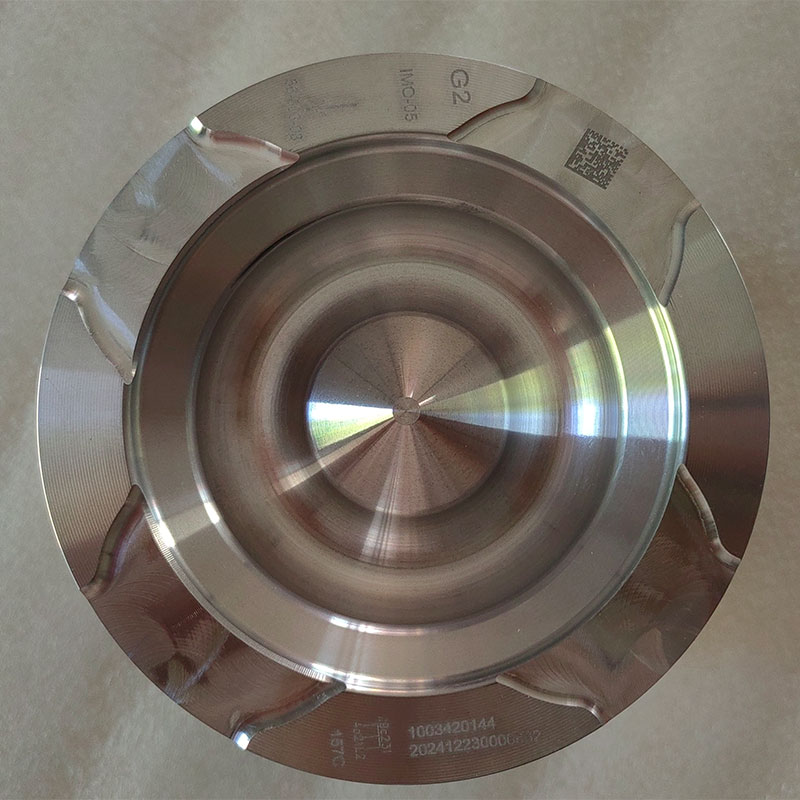 Piston 1003420144