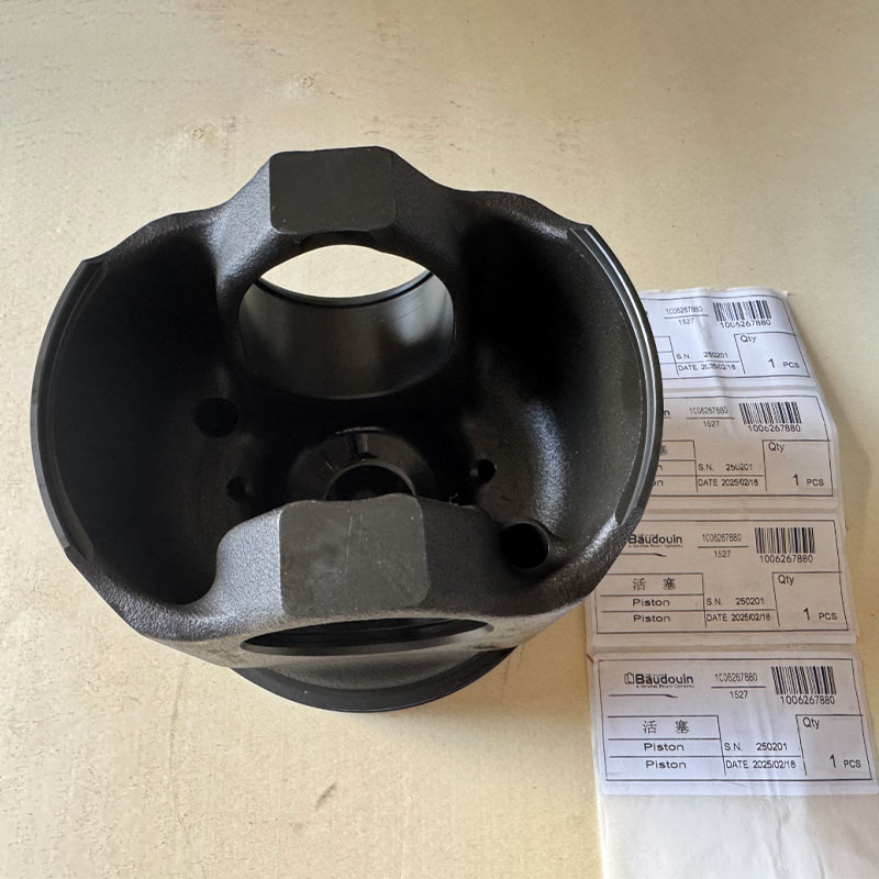 Piston 1006267880