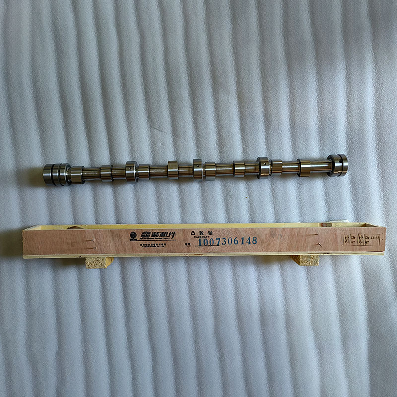 Camshaft 1007306148