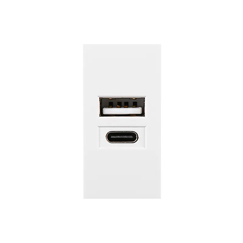 Модуль USB-розетки 10 Вт типа 45×22,5 мм с разъемом Type-C
