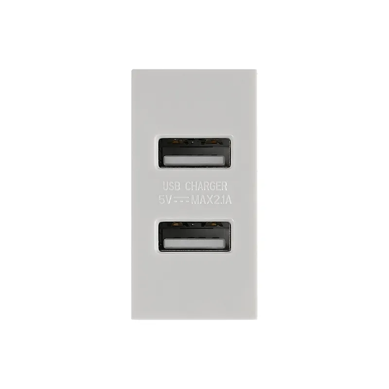 Модуль USB-розетки 10 Вт типа 45×22,5 мм с разъемом Type-C