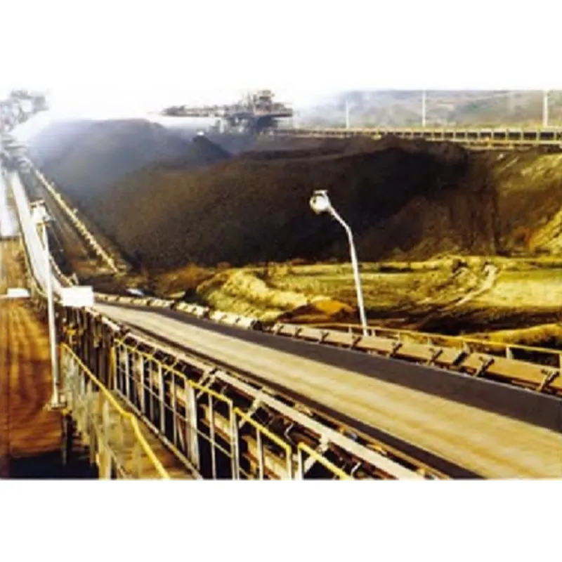 Конвейерная лента на нейлоновой основе (NN)